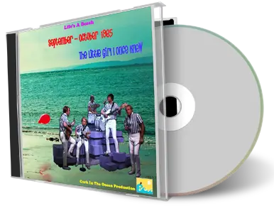 Front cover artwork of Beach Boys Compilation CD Lifes A Beach Vol 22 Soundboard